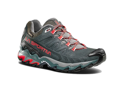 Ultra Raptor II Leather Woman GTX Charcoal Lollipop